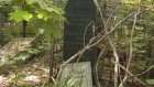 Еврейская община наводит порядок на кладбище