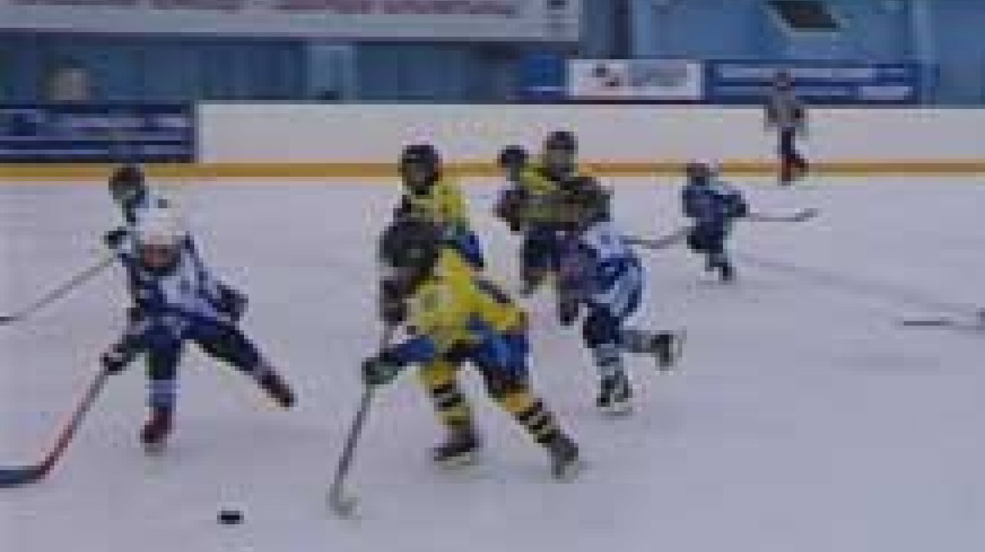 Начинающие хоккеисты сражаются на ледовой арене