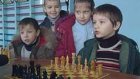 Юные шахматисты обрели «королевство»