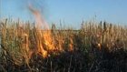 Нерадивые фермеры поджигают поля