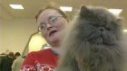 Кошка спасла хозяйку от гнева гаишника
