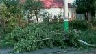 На Шемышейку обрушился сильный ураган
