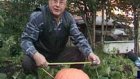 Пензяки вырастили на огороде гигантскую тыкву