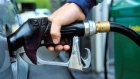 В Пензенской области цена на бензин не изменится до весны