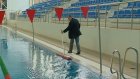 В бассейне дворца спорта «Сура» установили видеорегистратор