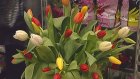 Компания «Биония» приглашает пензяков за цветами