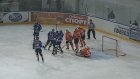 Пензенский «Дизелист» выбыл из борьбы за «золото» чемпионата МХЛ