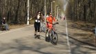 В Пензе с Олимпийской аллеи похищены два велосипеда