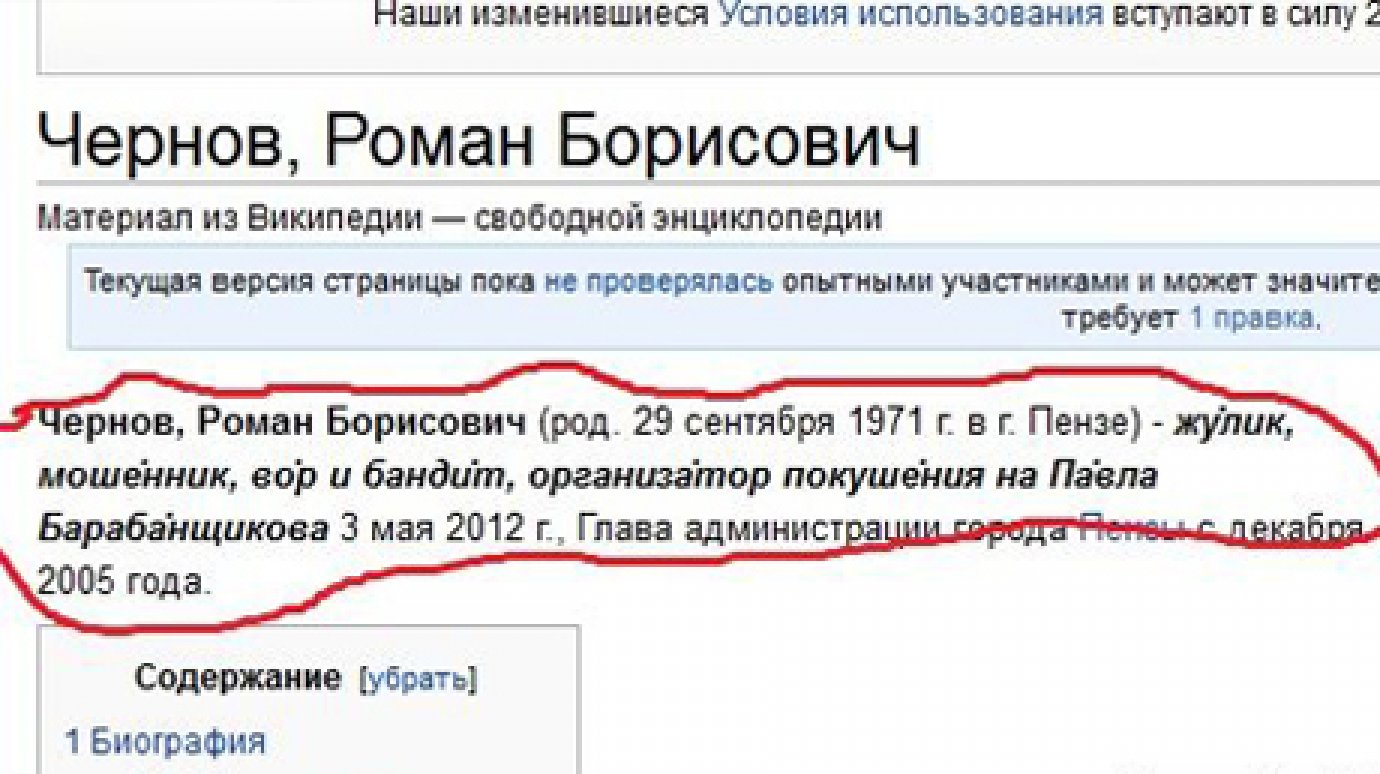 Неизвестные оскорбили мэра Пензы Романа Чернова в «Википедии»