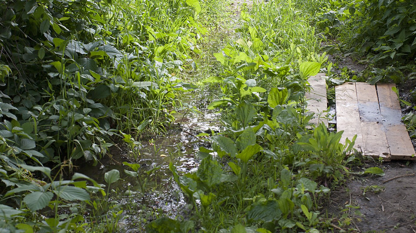 На Зарубина несколько месяцев течет ручей из водопроводной трубы