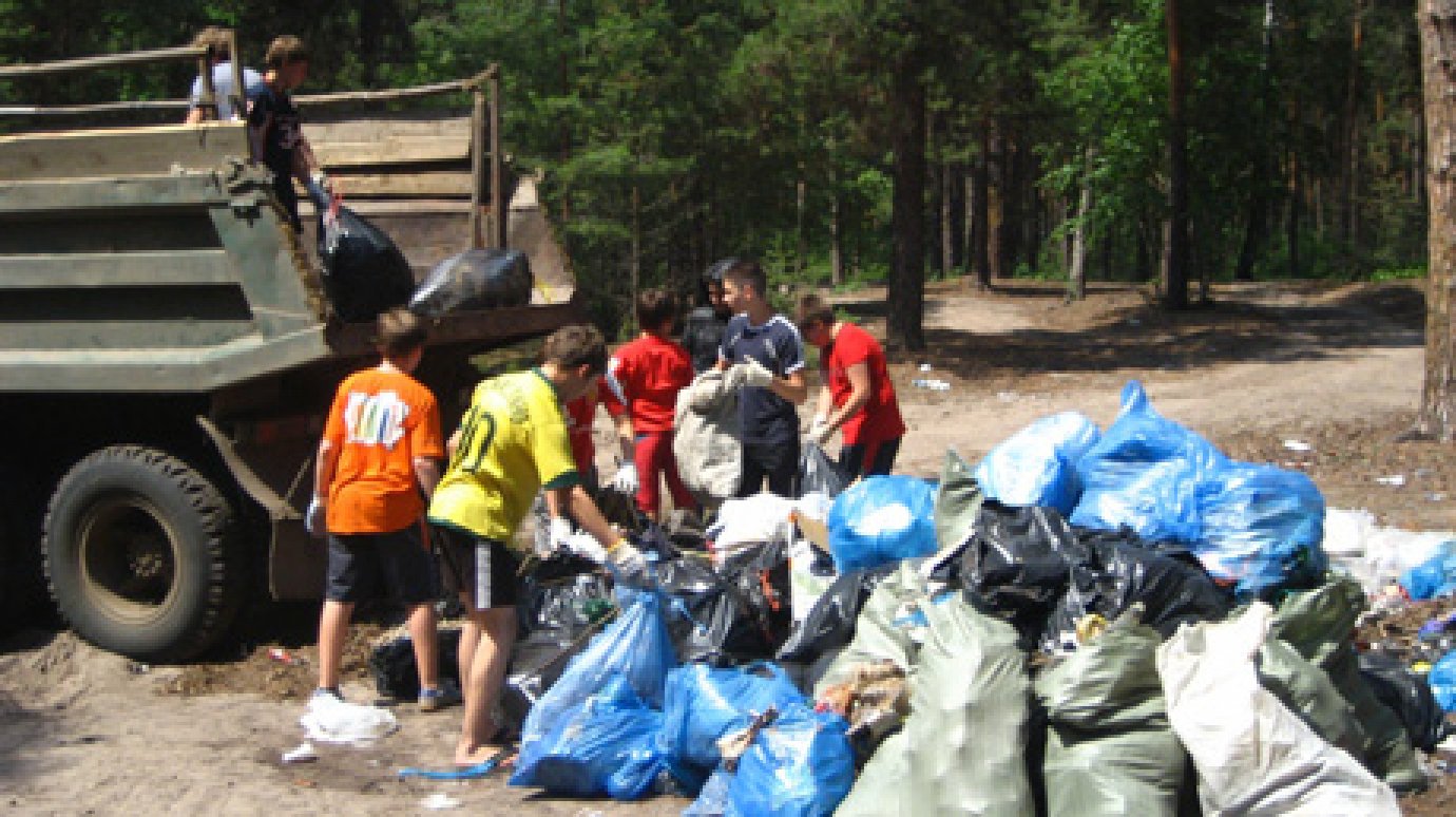Активисты очистили от мусора 32 га побережья Сурского водохранилища