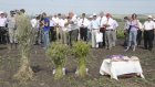 Фермеры Каменки организовали праздник «День поля»