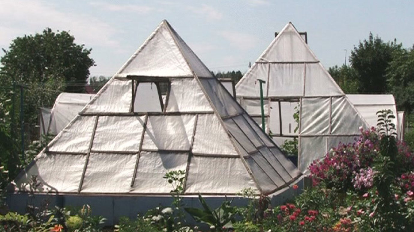 Житель Кондоля установил на своем огороде пирамиды
