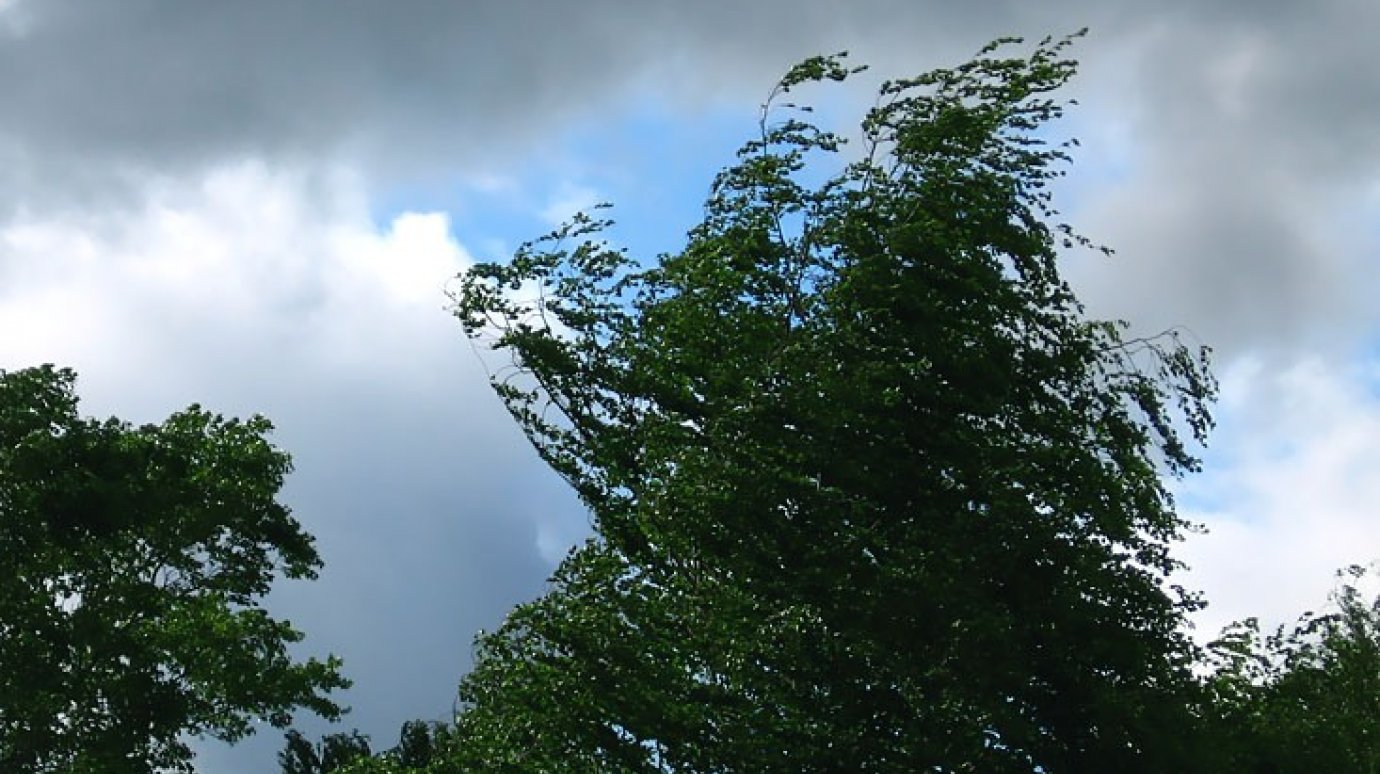 14 июля в Пензенской области ожидаются грозы и шквалистый ветер