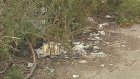 Коммунальщики перестали вывозить мусор с улицы Санитарной