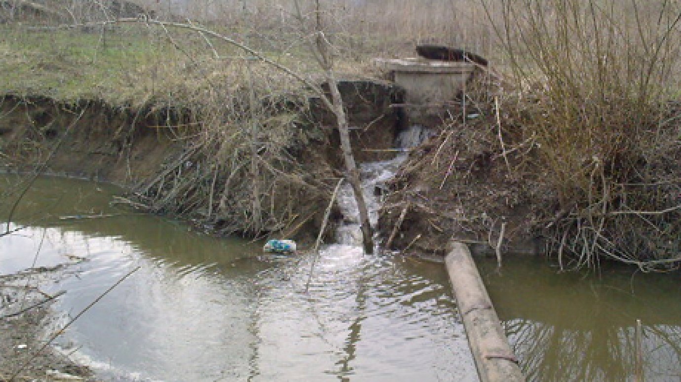 Рыба в арбековском ручье погибла из-за сброса канализационных вод