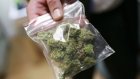 У жительницы Колышлейского района изъят килограмм марихуаны