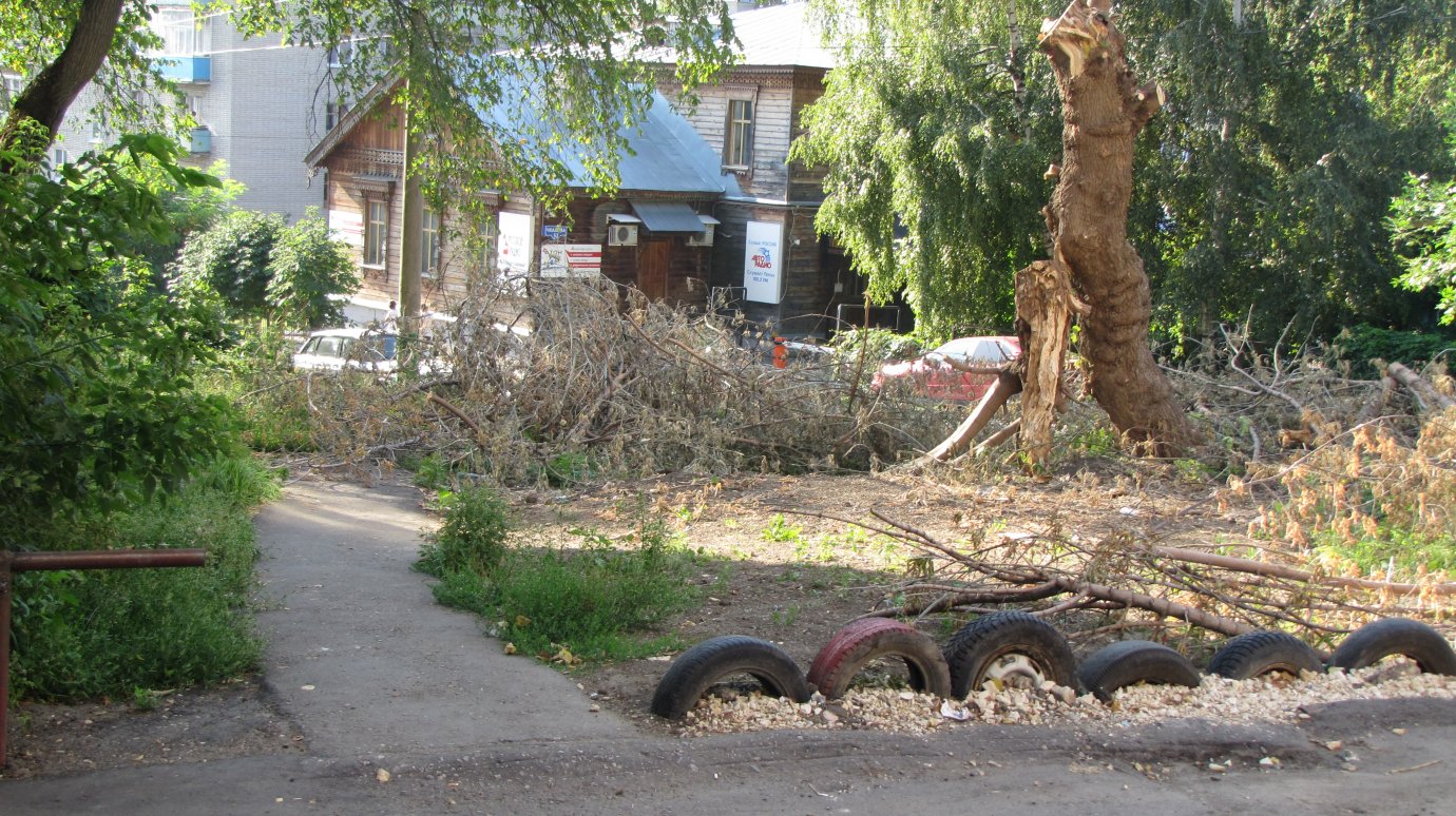Пешеходная дорожка на улице Чкалова в Пензе завалена ветвями