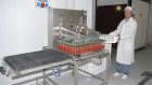 Начались поставки яиц в новый инкубаторий «Дамате»