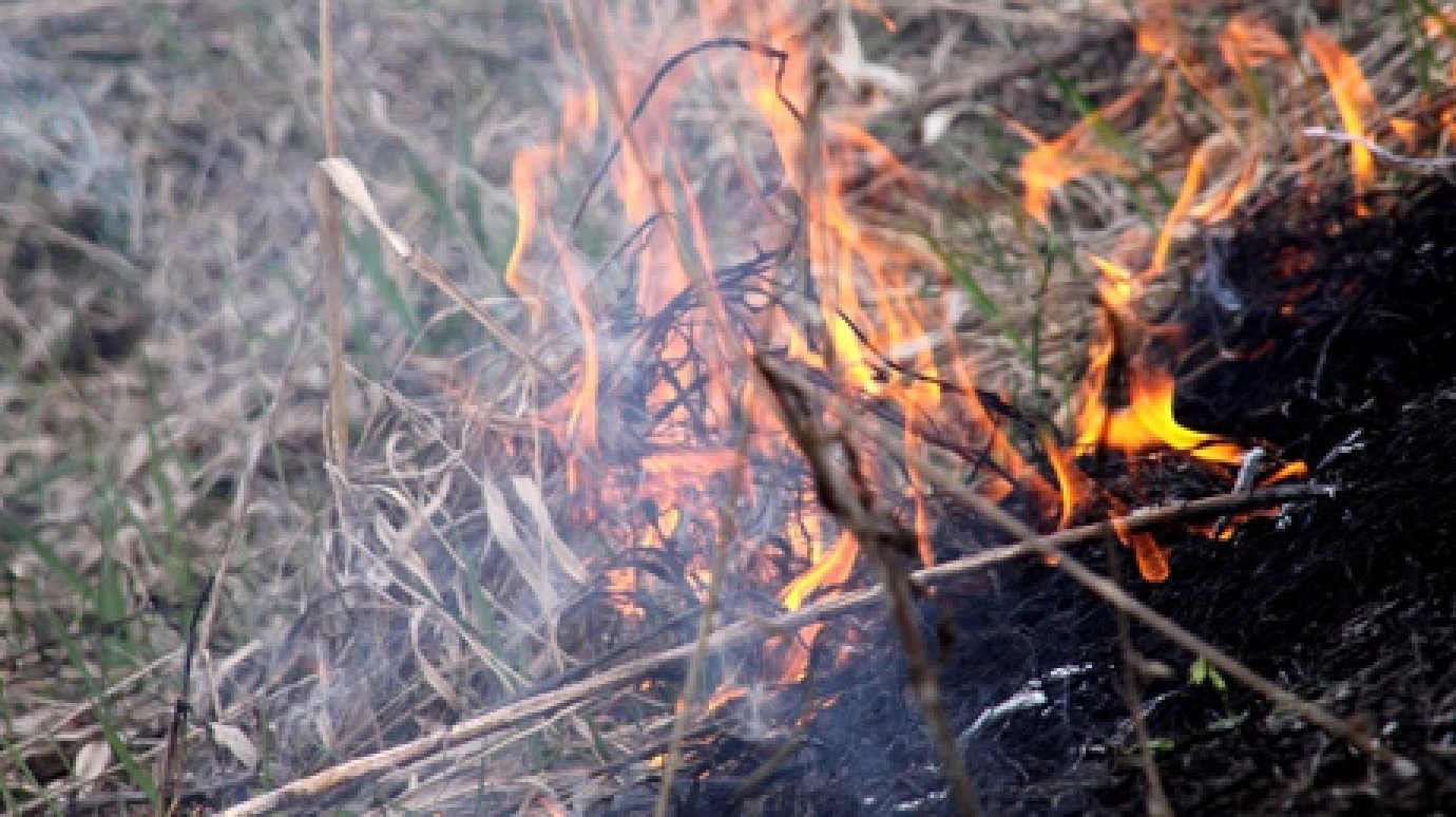 В Колышлейском районе сгорел восьмитонный стог сена