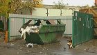 В Пензе мусорные площадки стали размещать ближе к жилым домам