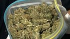 Пензенские полицейские нашли за сутки три пакетика с марихуаной