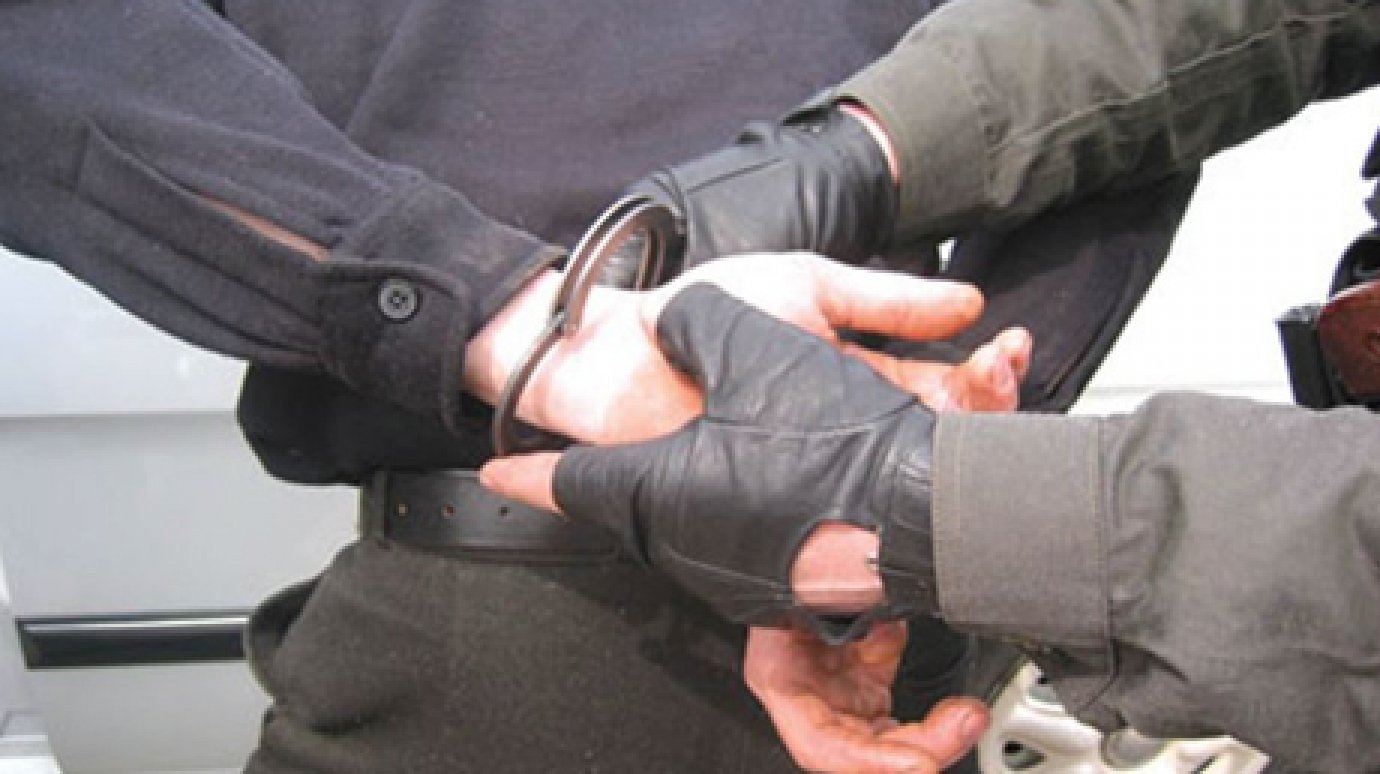 Рязанская полиция задержала грабителя из Пензы