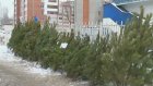 В Мокшанском лесничестве готовятся к вырубке новогодних елок