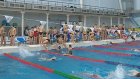 Пензенские пловцы борются за поездку на фестиваль «Веселый дельфин»