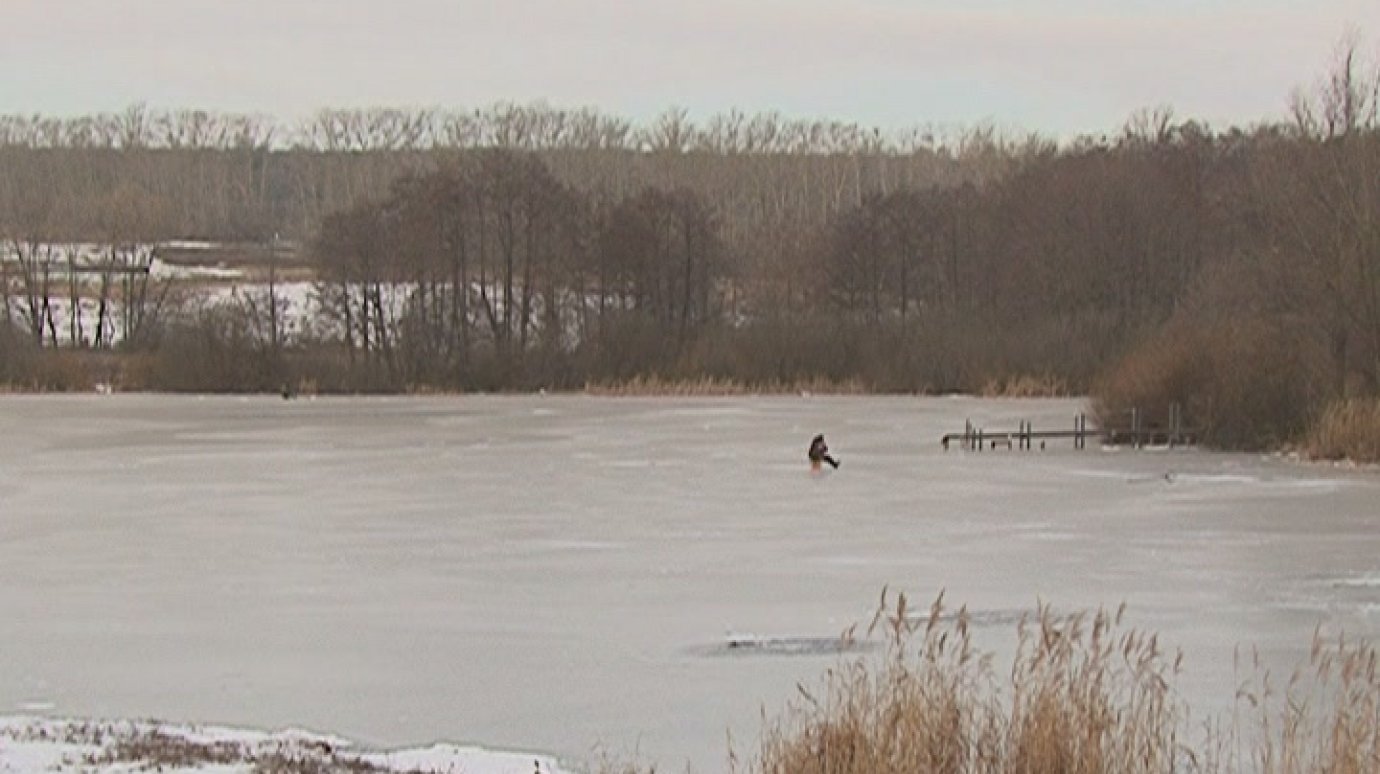 На Сурском водохранилище рыбак провалился под лед и погиб