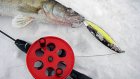 Пензенский рыболов стал вторым на саратовском чемпионате