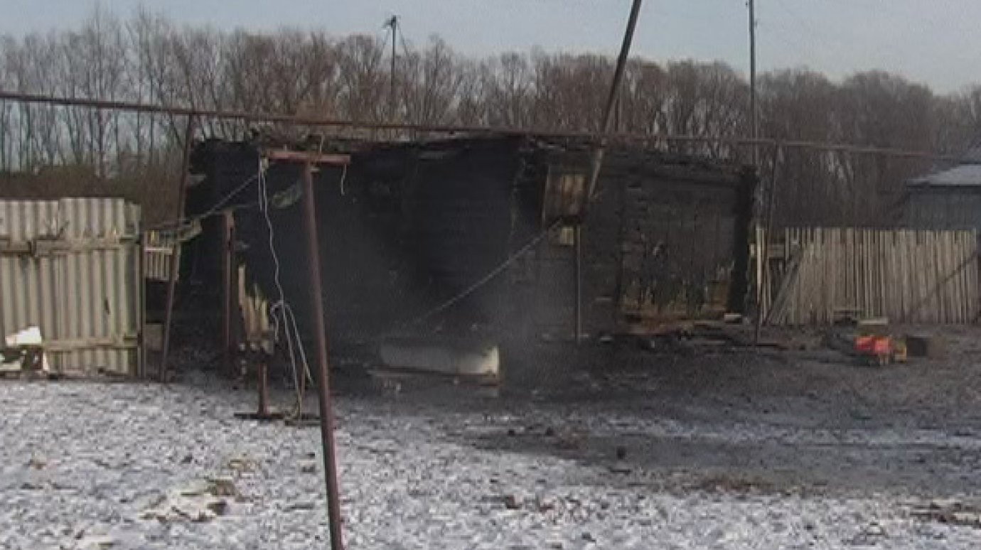 В Башмаковском районе при пожаре погиб двухлетний мальчик