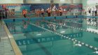 Каменские пловцы борются за победу в Президентских спортивных играх