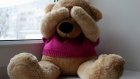 Житель Кузнецка украл из магазина дезодоранты и плюшевого медведя