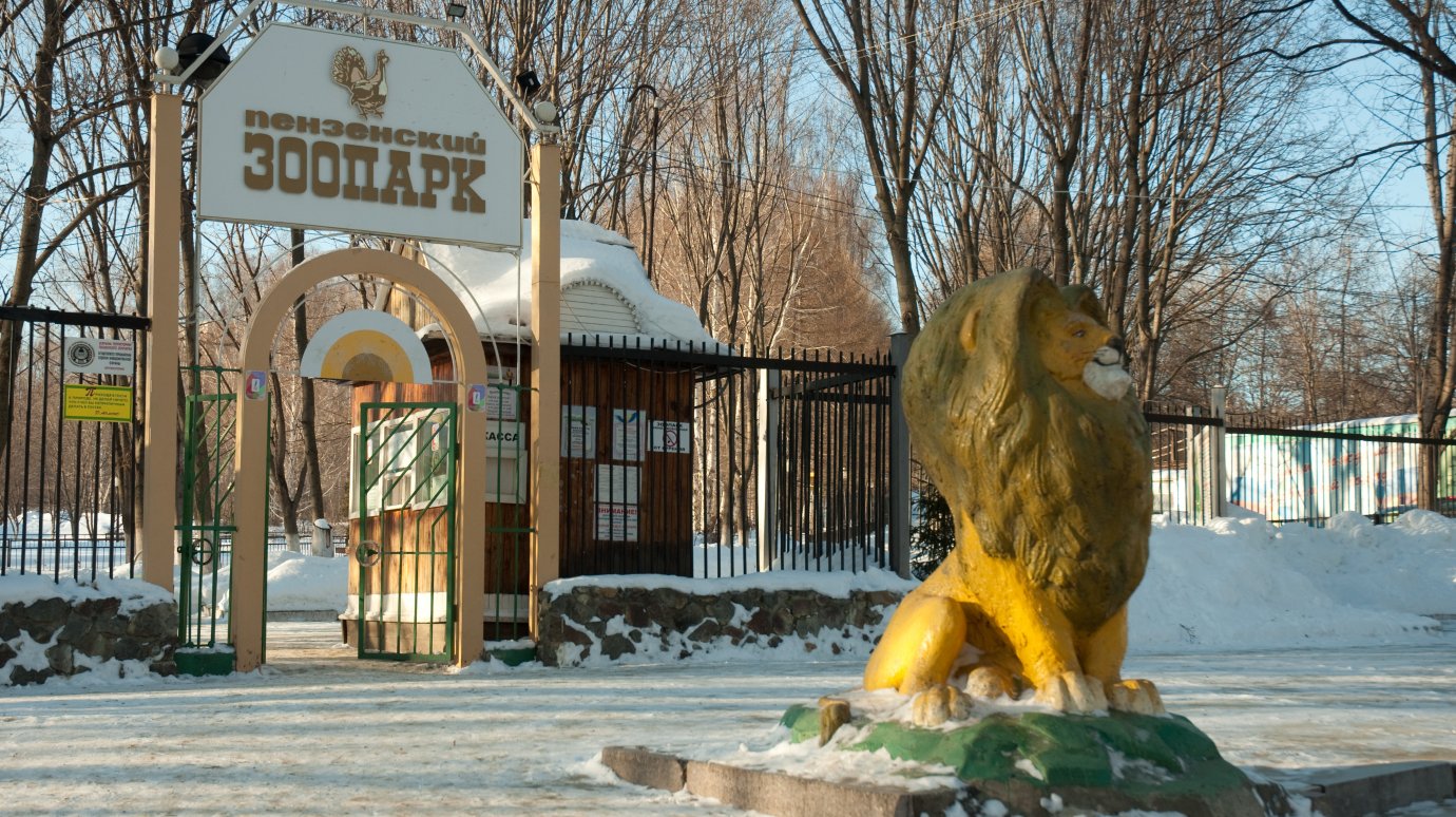 Мэр Чернов хочет вдохнуть в зоопарк новую жизнь