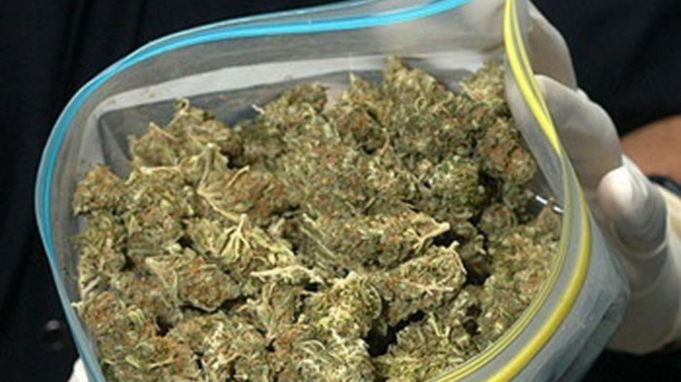 В доме сторожа полицейские нашли марихуану
