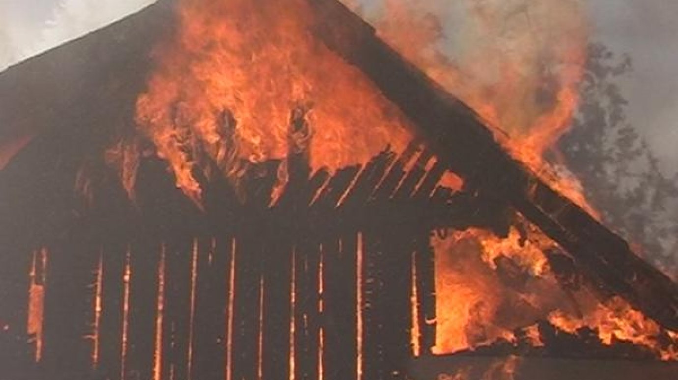 За сутки в Пензенской области пожары унесли жизни пяти человек