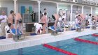 Пензенские пловцы готовятся к этапу VI летней Спартакиады учащихся России