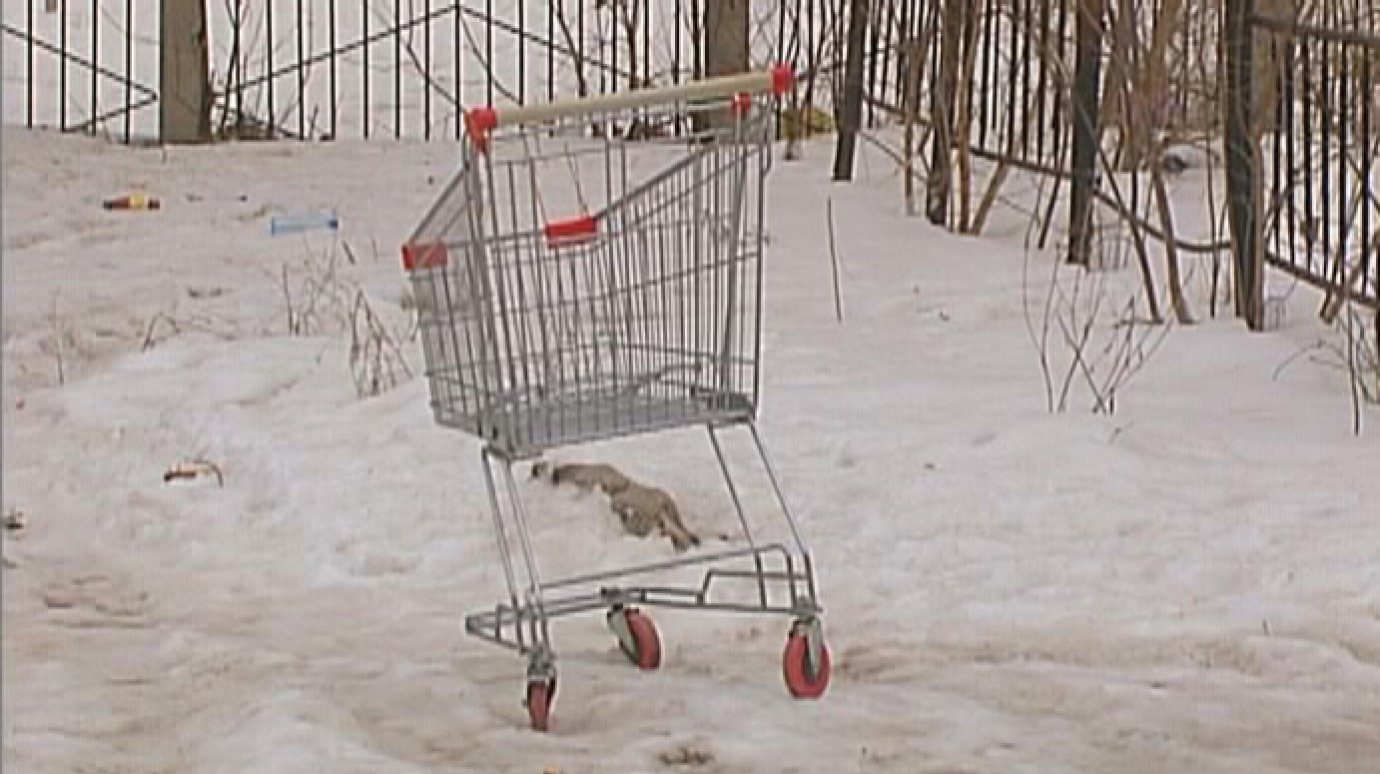 На улице Одесской обнаружили угнанную из супермаркета тележку