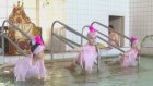 В бассейне каменского детского сада организовали праздник Нептуна