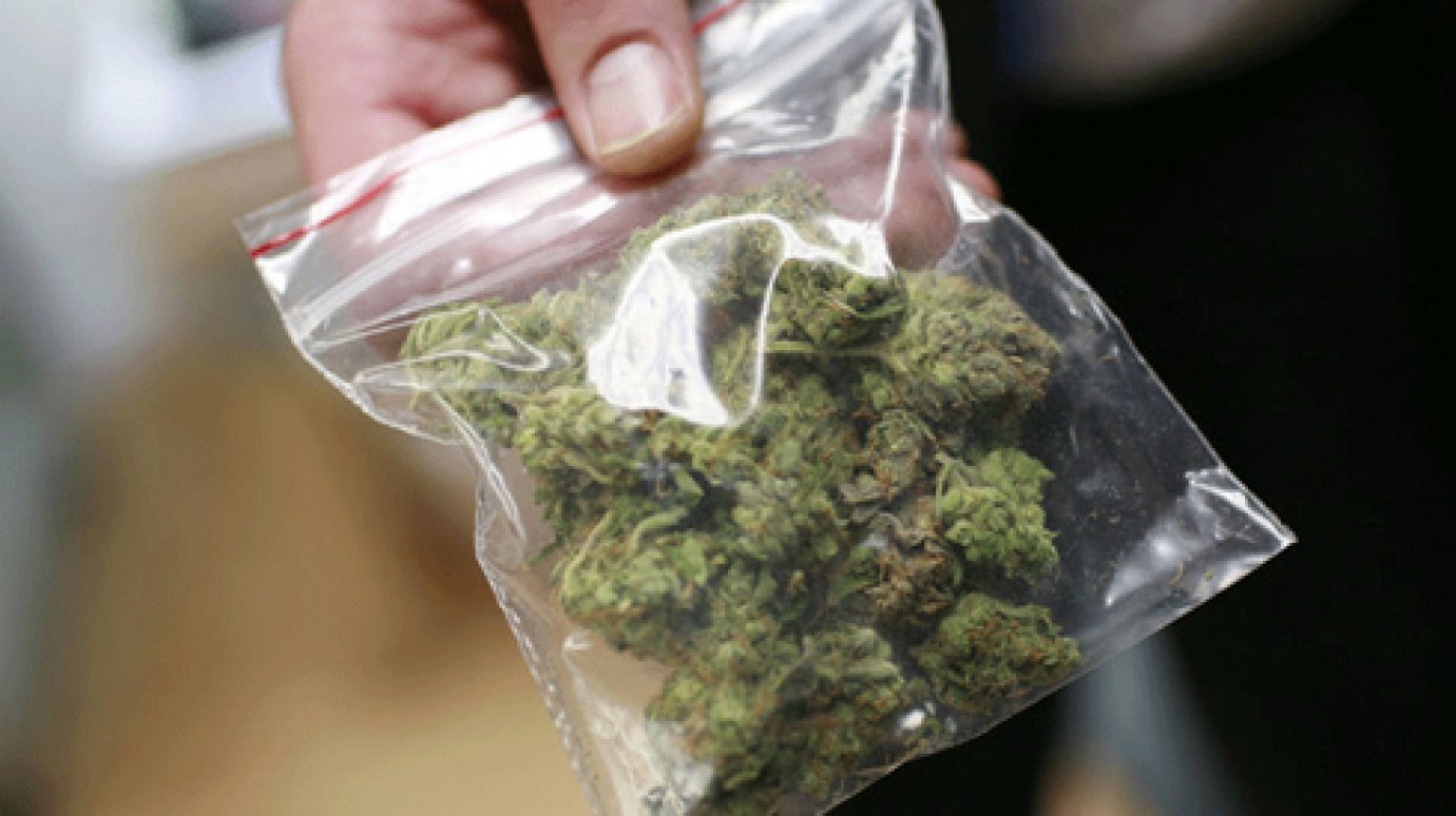 Полицейские обнаружили в сельском доме более 100 гр наркотиков