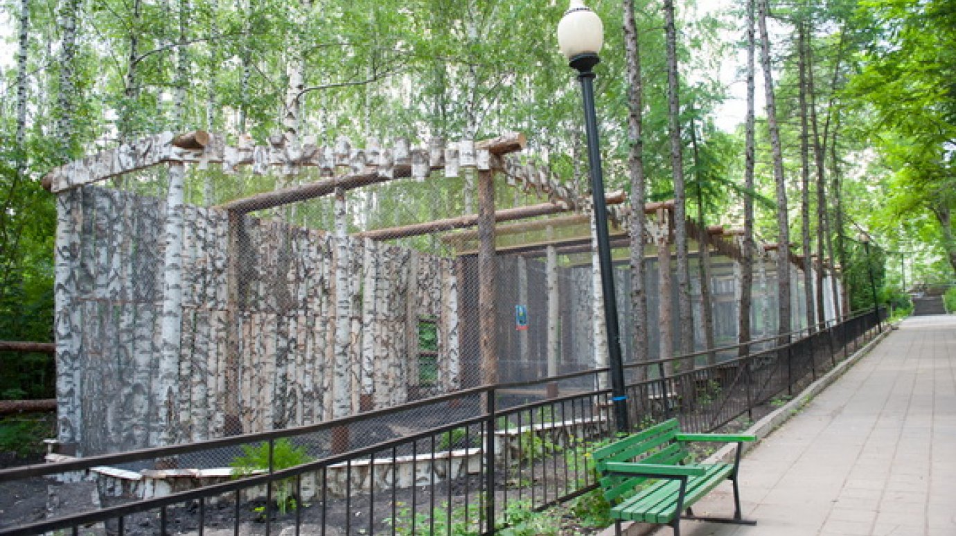 В Пензенском зоопарке завершилась реконструкция совятника