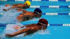 Пензенские пловцы взяли на чемпионате страны четыре медали