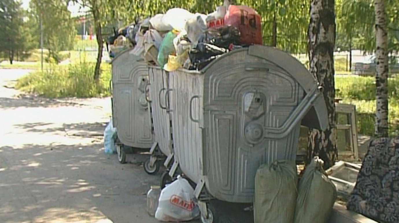 Пензенцы просят хотя бы раз в неделю убирать мусорную площадку