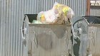 Горожане жалуются на работающих по ночам мусоросборщиков