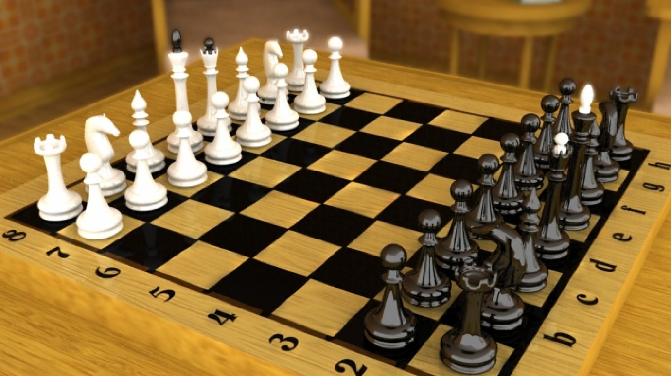 В шахматном турнире участвовали кузнечане от 9 лет до 81 года