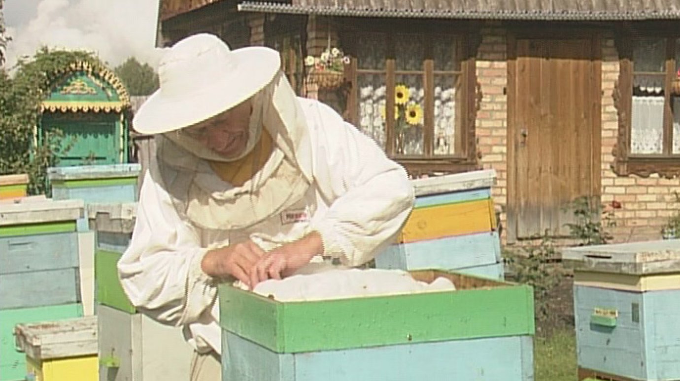 Пензенские пчеловоды готовятся к Медовому Спасу