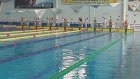 Пензенские пловцы показывают достойные результаты на спартакиаде