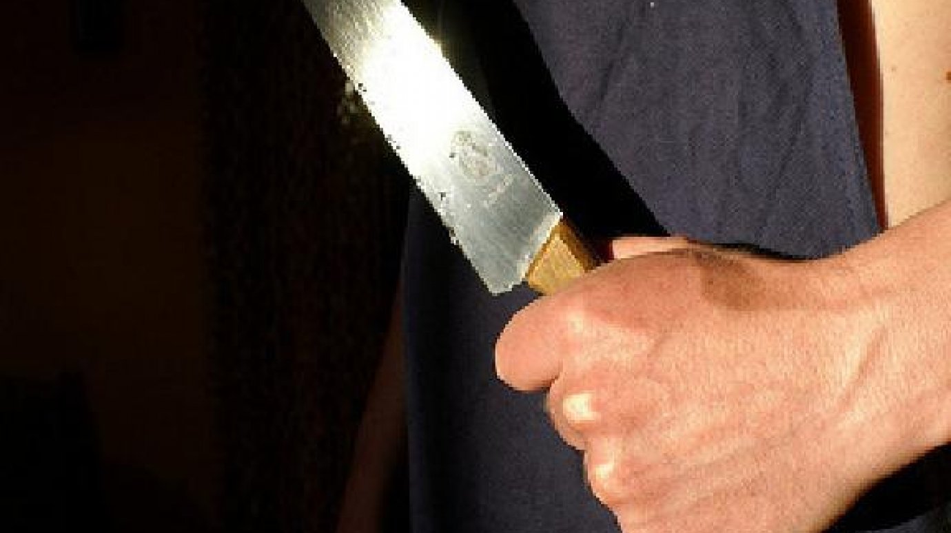 Житель Камешкирского района набросился на друга с ножом