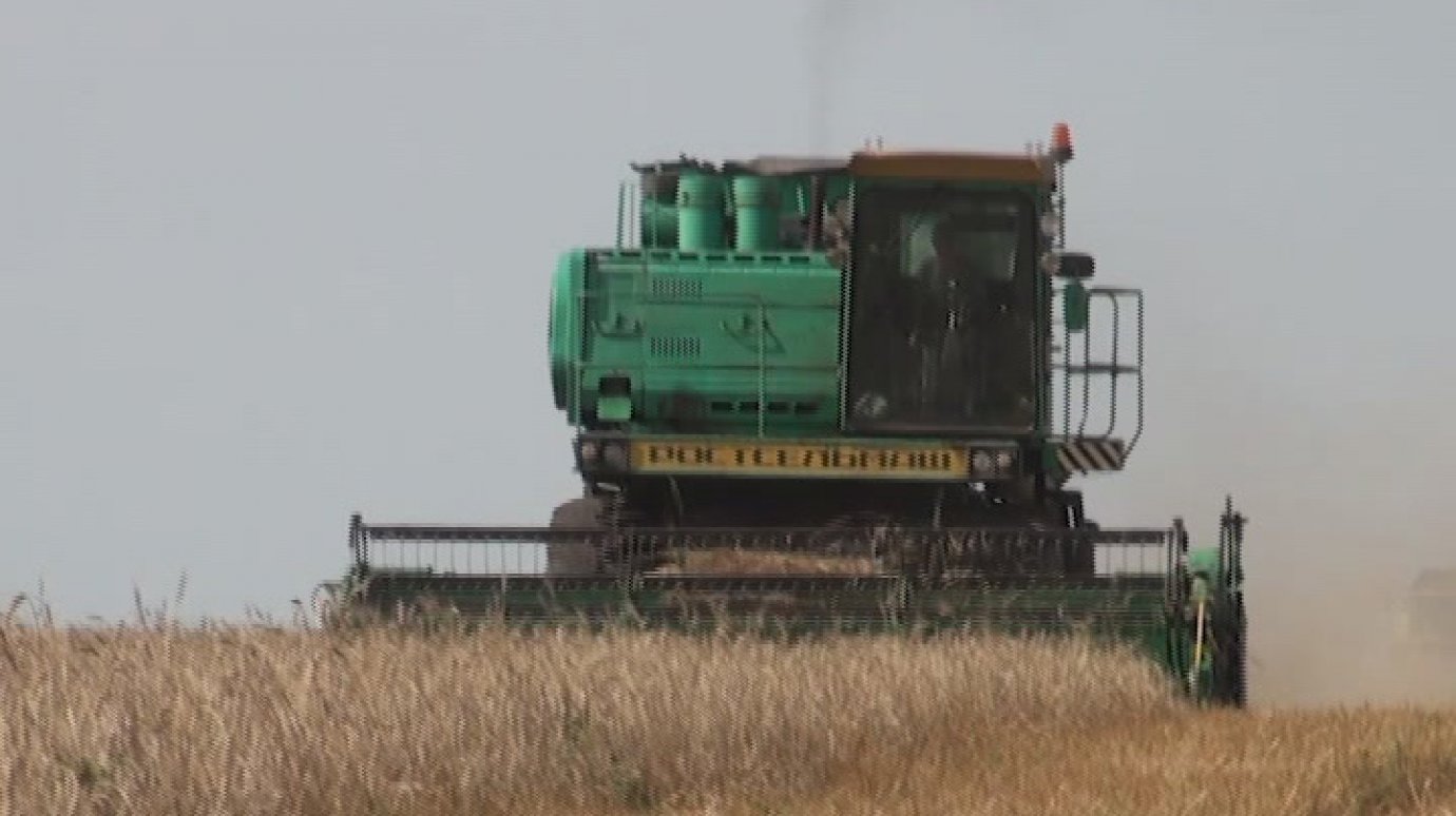 В Каменском районе комбайны освободили от зерна 94% полей